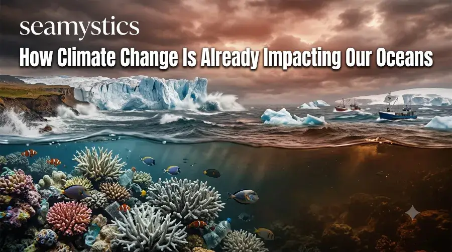 climate change ocean impact