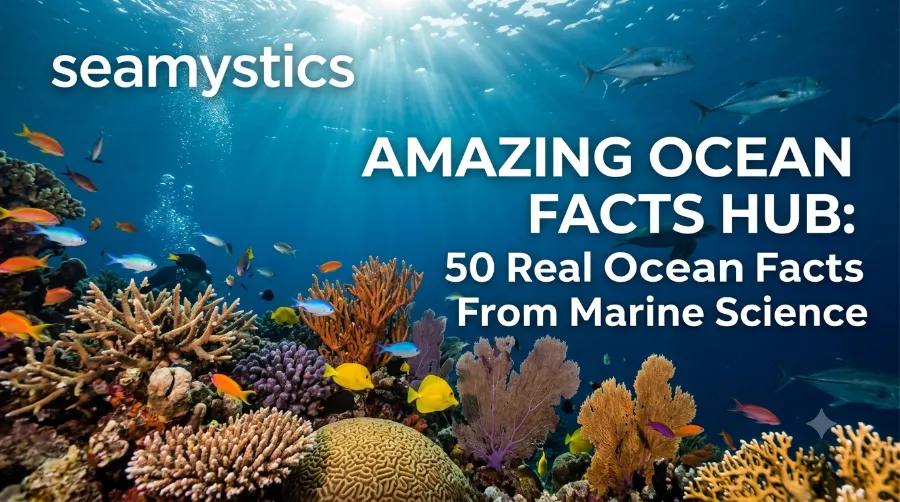 amazing ocean facts science