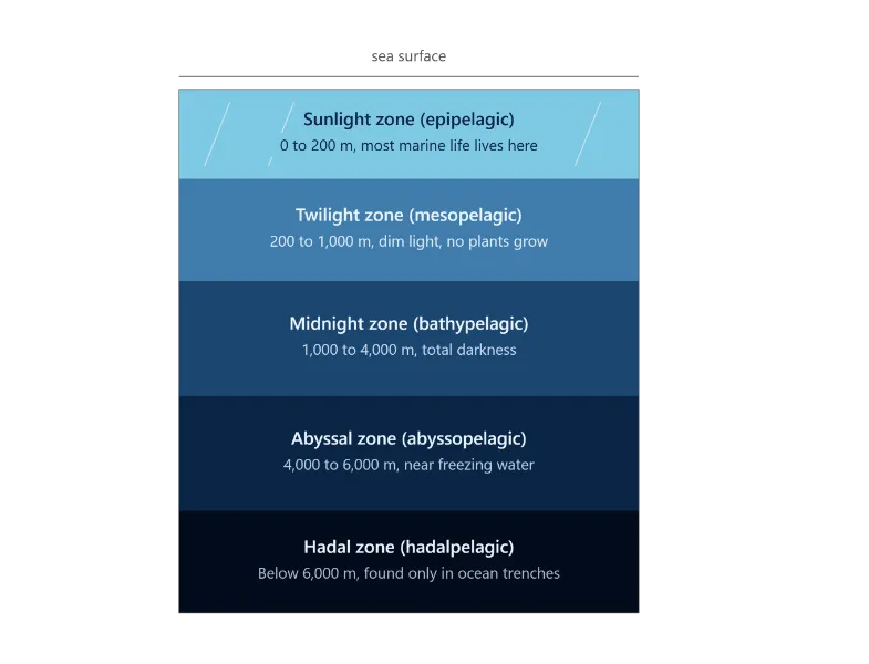 zones of the open ocean ecosystem