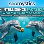dolphin intelligence facts explained