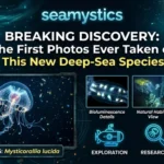 first photos new species