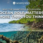 mangrove ecosystem ocean role