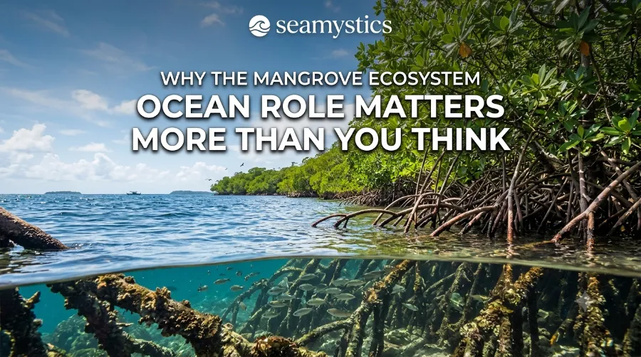 mangrove ecosystem ocean role