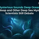 mysterious sounds deep ocean