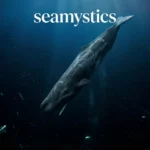 sperm whale deep dive