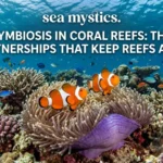 symbiosis in coral reefs.