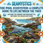 tide pool ecosystem..