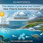ocean water cycle