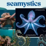 octopus species naming