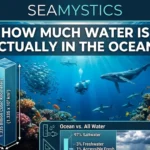 total ocean volume