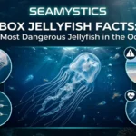 box jellyfish facts