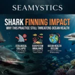 shark finning impact