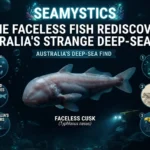 faceless fish rediscovery